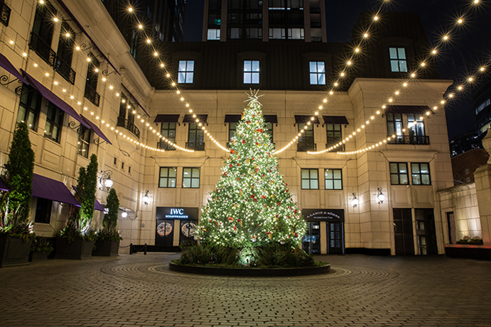 Waldorf Astoria, Chicago, Christmas Lights, Tree, Ornaments, Decorations