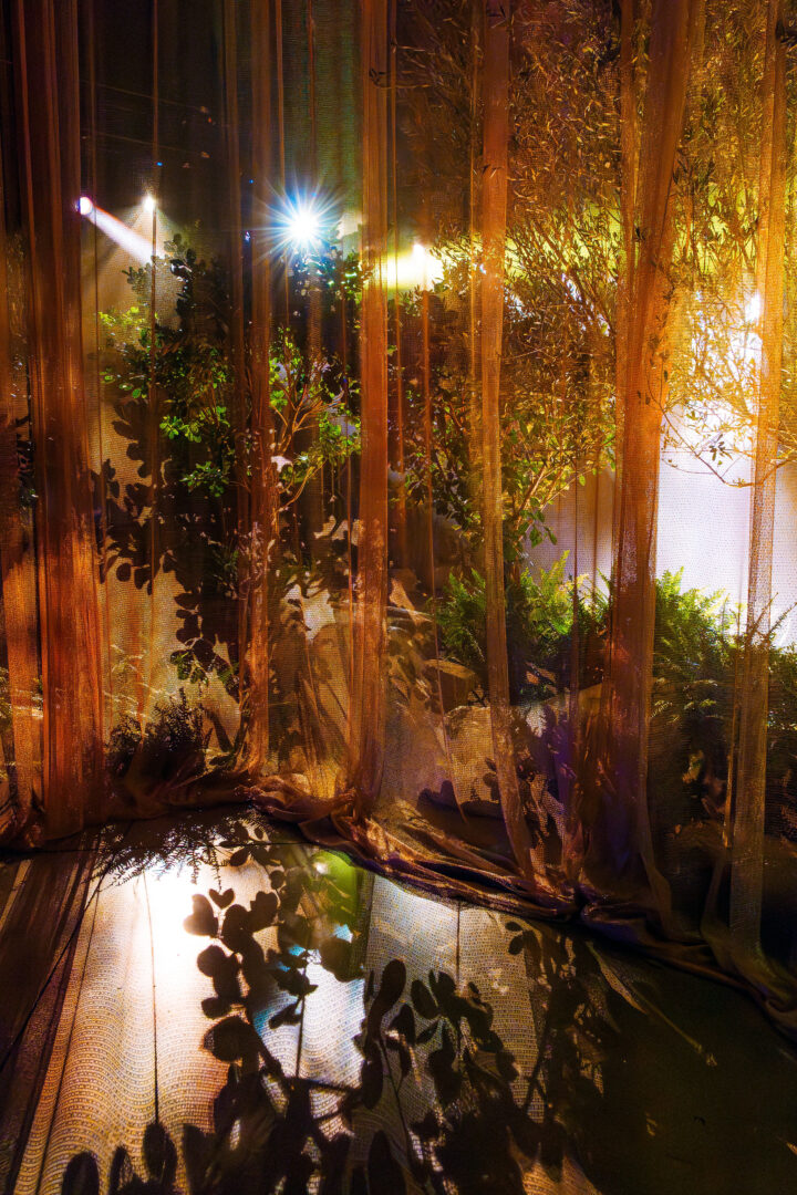 BlackOakEndlessSummer_CRasmussen-010 – Copy